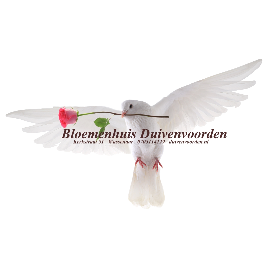 Copyright Duivenvoorden.nl (c) Duivenvoorden.nl